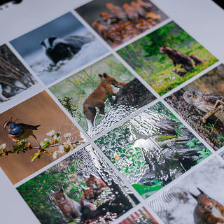Close-up of Digital Spot UV printing on a photo collection, highlighting the clear, raised tactile lacquer that adds a premium 3D effect to the printed images.