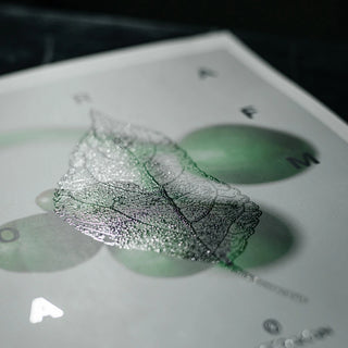 ofsettrukitud raamatukaas kaetud mulli uv kohtlakiga